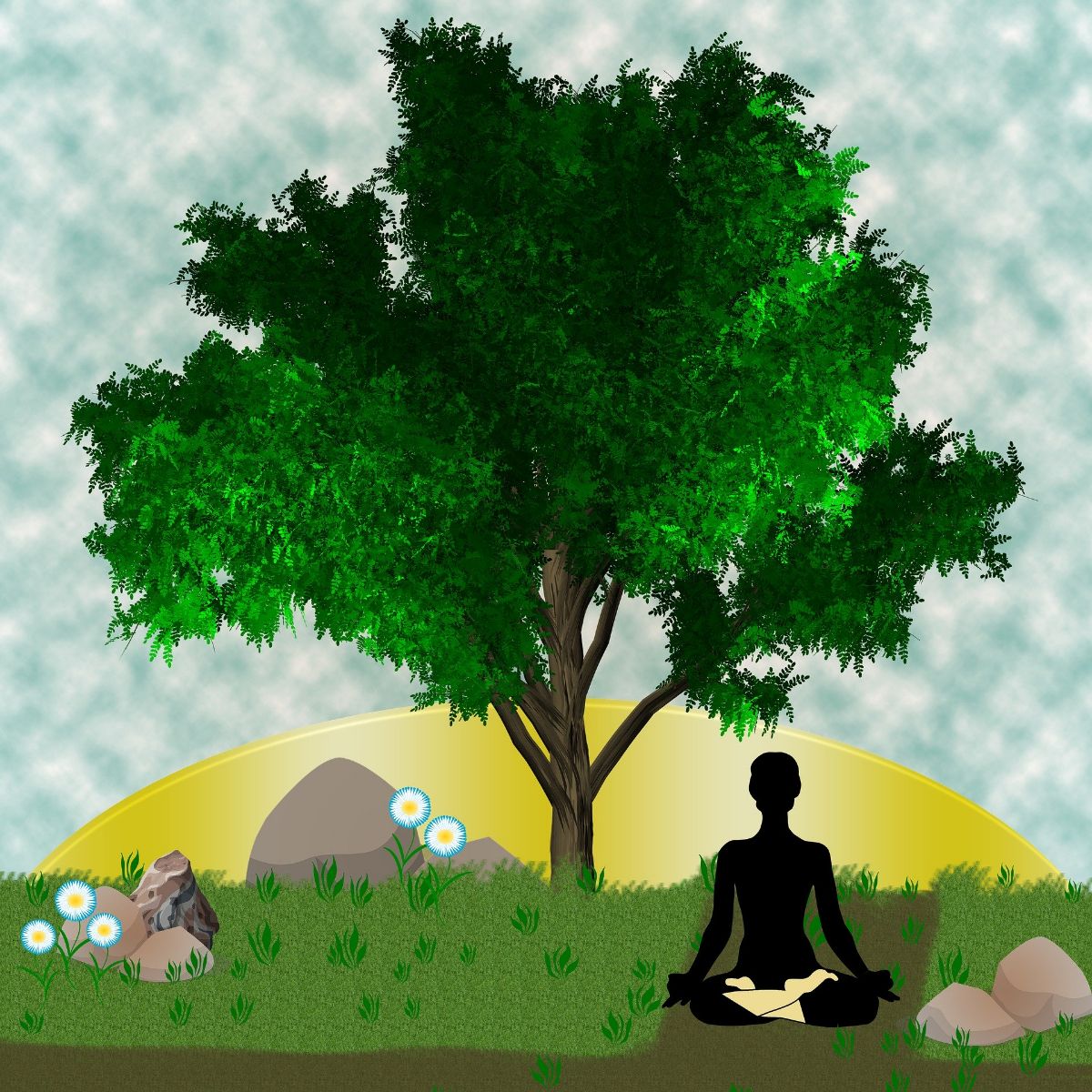 Máster en Dirección de Recursos Humanos + Máster en Coaching, Gestión Emocional y Mindfulness