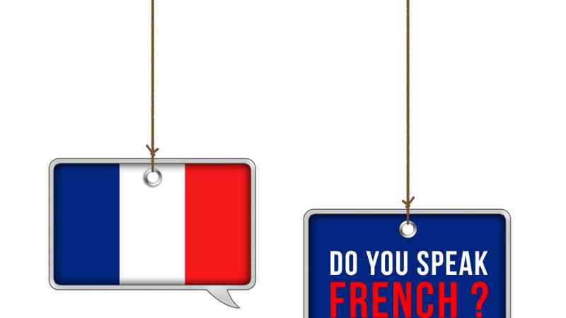 Curso intensivo Francés B2. Nivel oficial consejo Europeo