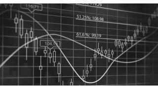 Experto en análisis e inversión en bolsa