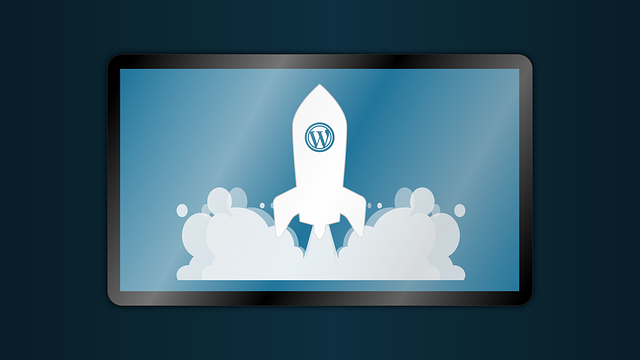Técnico profesional creación y gestión Wordpress + diseño gráfico para web