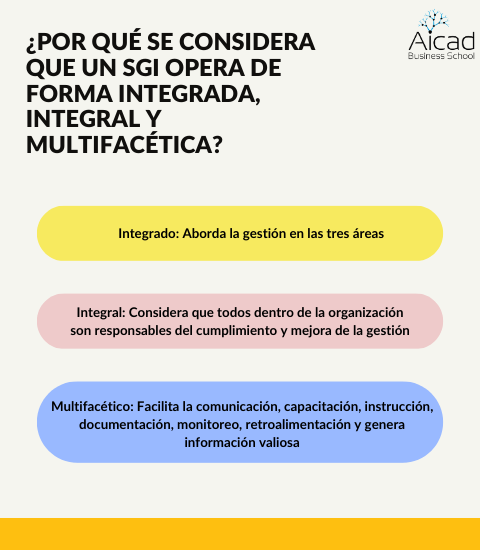 Líneas fundamentales de un Sistema Integrado de Gestión