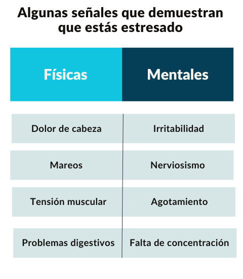 Buscar ayuda profesional si es necesario