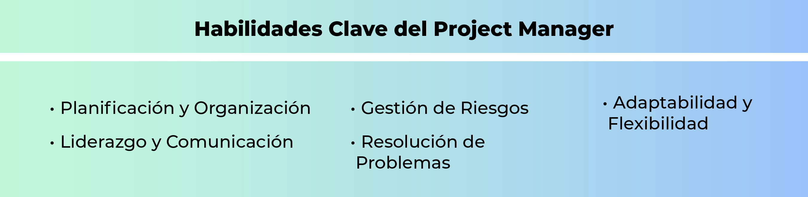 Liderando Proyectos con Éxito