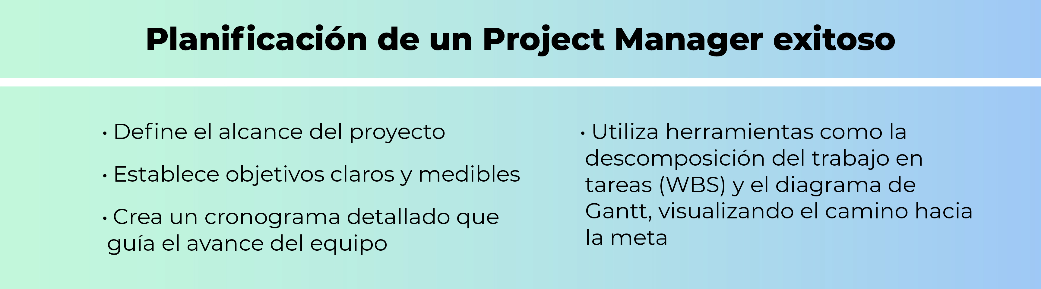 Project Manager: Un líder excepcional Project Manager: Un líder excepcional