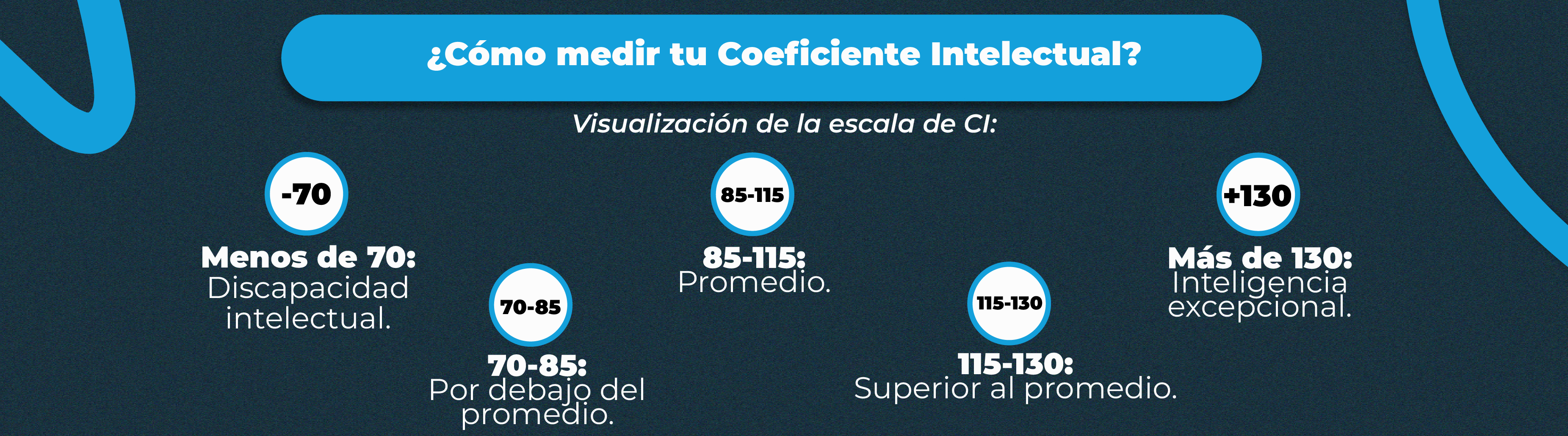 ¿Con qué frecuencia deberías medir tu Coeficiente Intelectual?