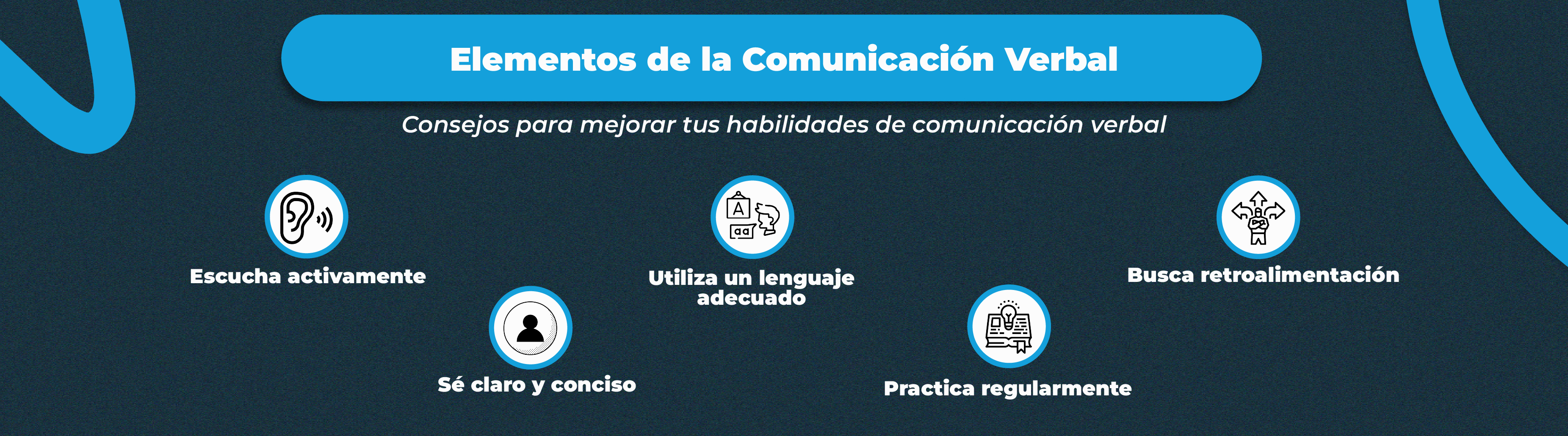 El Papel de la Comunicación Verbal en el Mundo Profesional