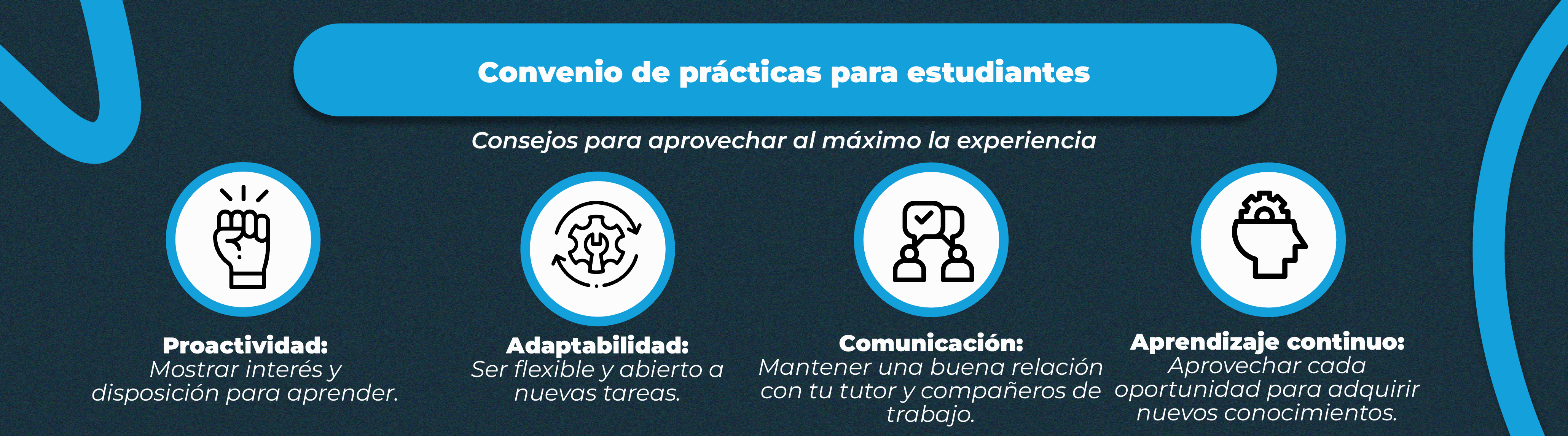 La experiencia como elemento diferenciador en el Currículum
