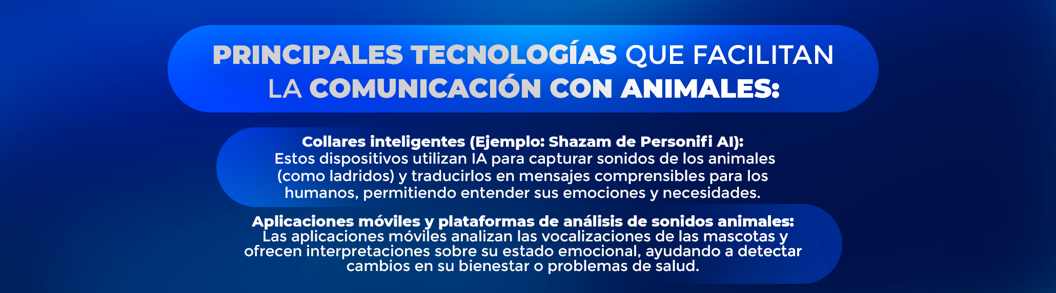 Prepárate para el futuro con Aicad Business School