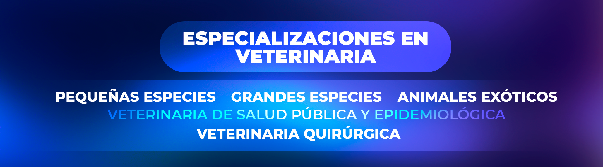 Formación y requisitos para ser veterinario Formación y requisitos para ser veterinario