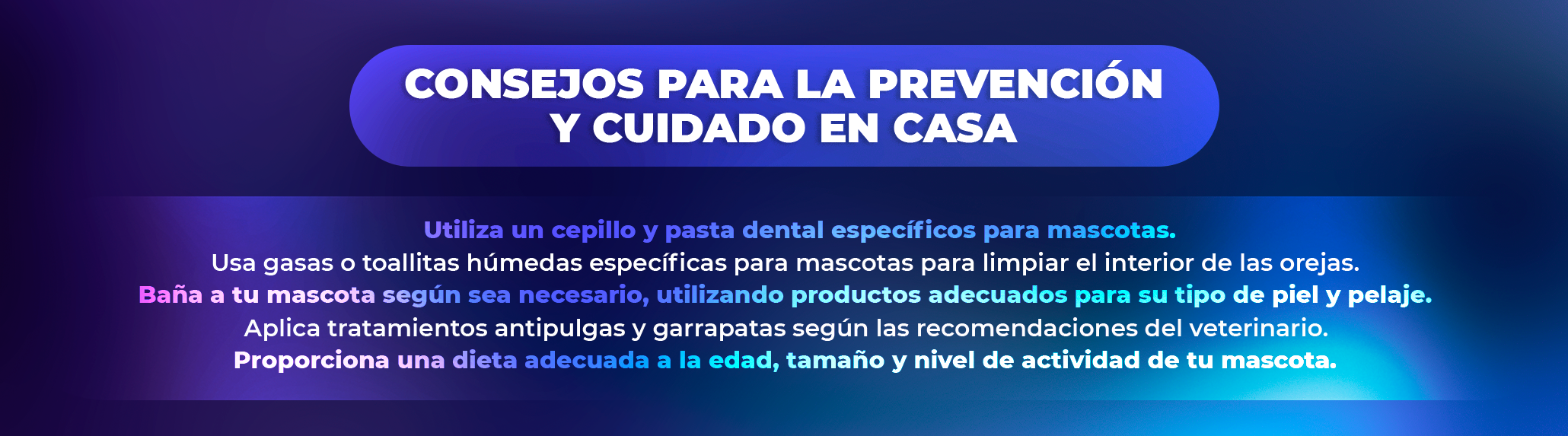 ¿Qué hacer si no encuentras un veterinario cerca de ti?