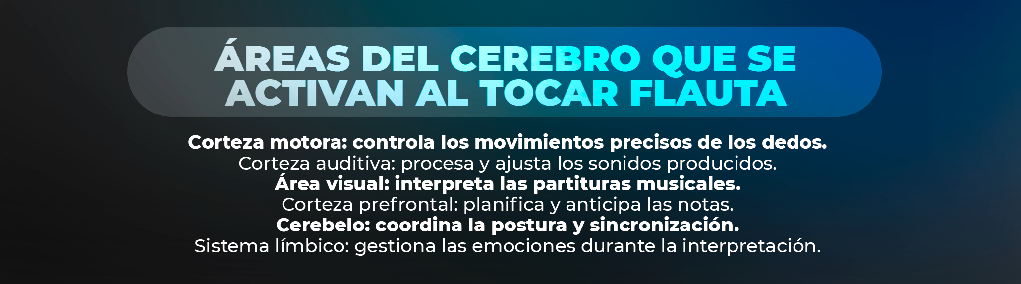 ¿Y si no soy niño? Aprender flauta también en la adultez