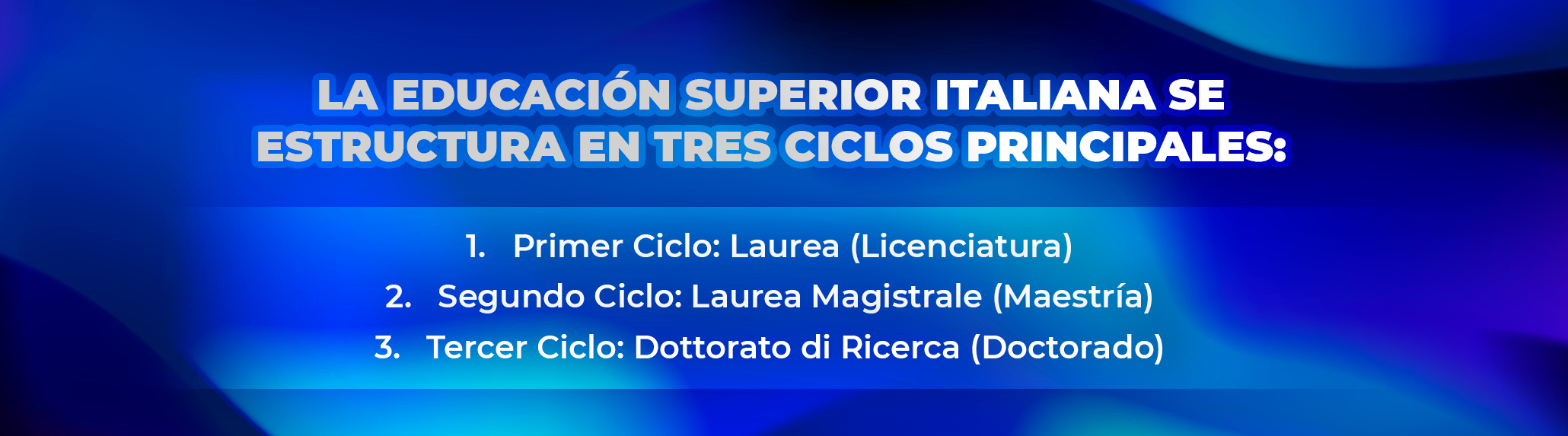 Organización del Sistema Universitario Organización del Sistema Universitario