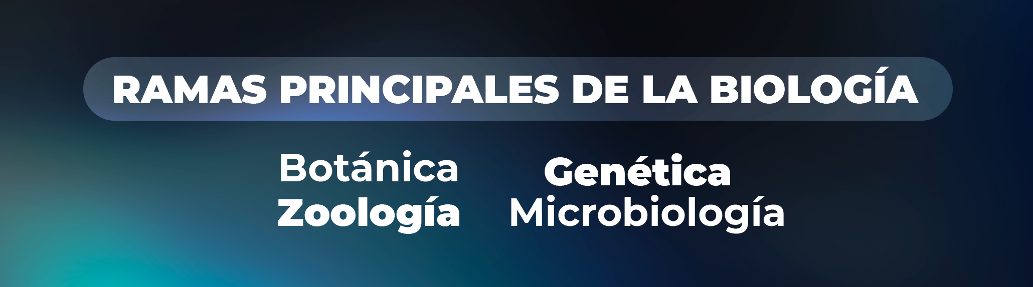 Aplicaciones prácticas de las ramas de la biología