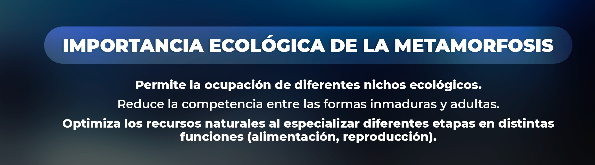 Ejemplos comunes de metamorfosis