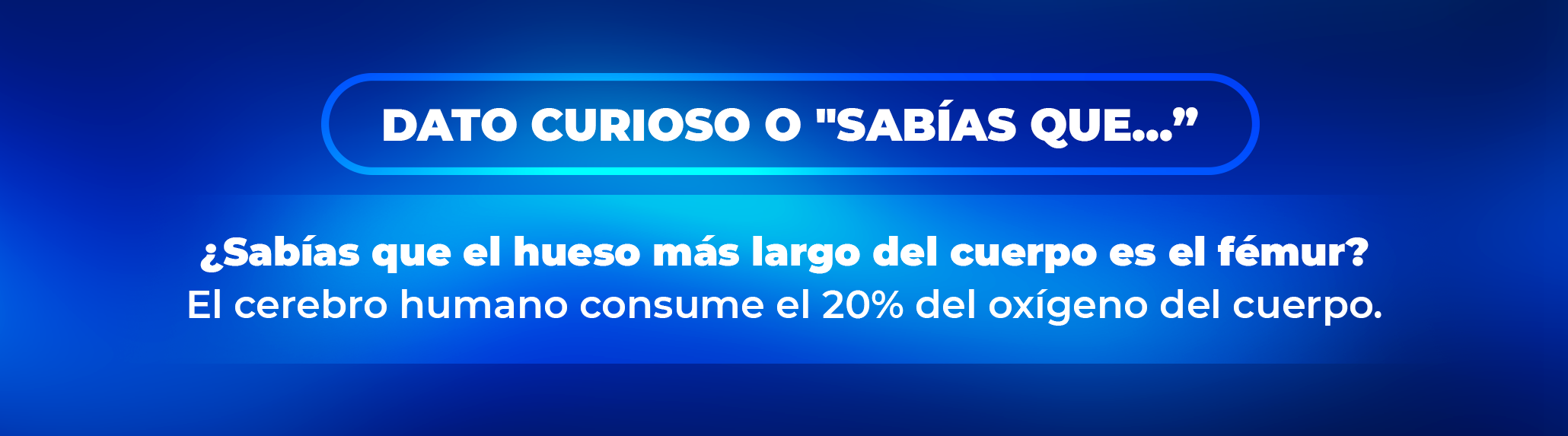 La importancia de la interacción entre los sistemas del cuerpo La importancia de la interacción entre los sistemas del cuerpo