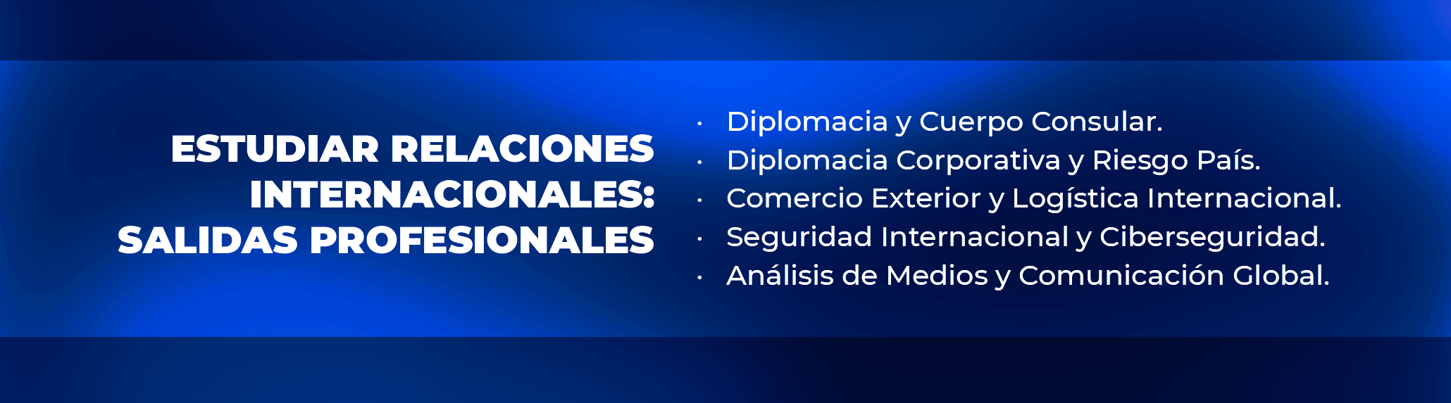 Gestión de organizaciones no gubernamentales y seguridad internacional