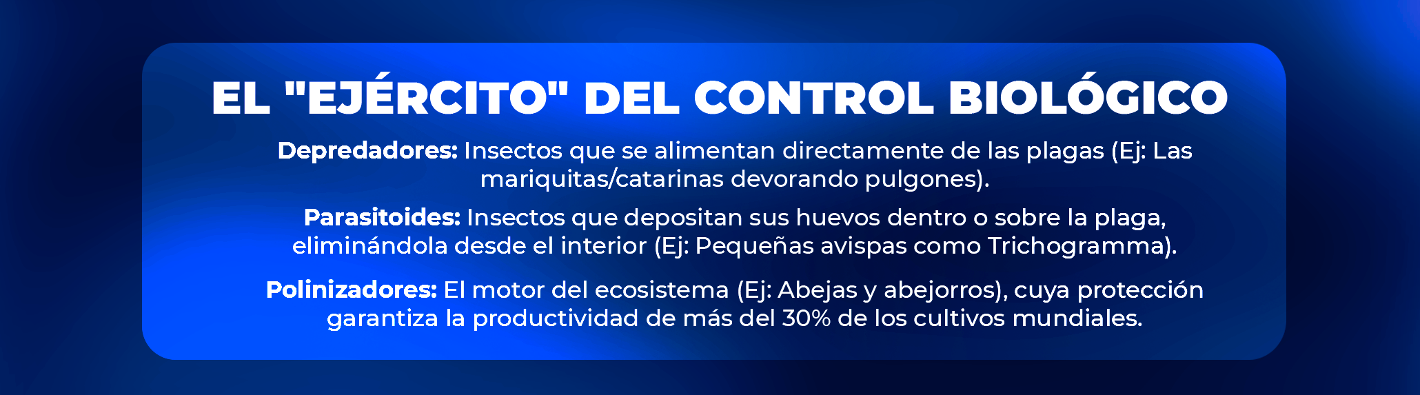 Evolución del perfil profesional y nuevas demandas en el sector agroalimentario