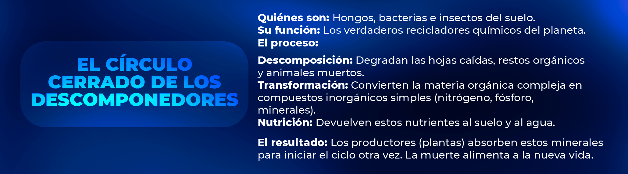 Dinámica del flujo energético y la interdependencia en los niveles tróficos