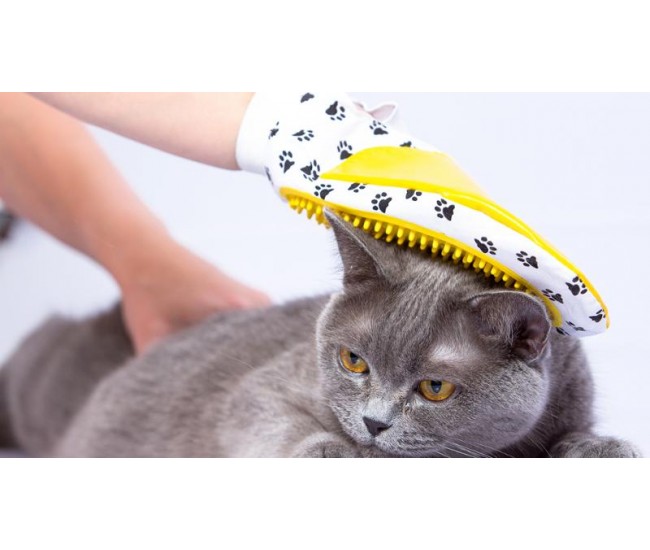 Auxiliar de Veterinaria
