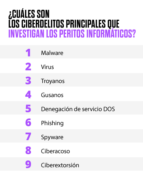 ¿Cuáles son las tareas principales de un perito judicial informático?