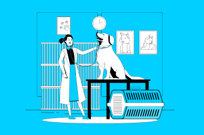 Técnico en dietética y nutrición veterinaria