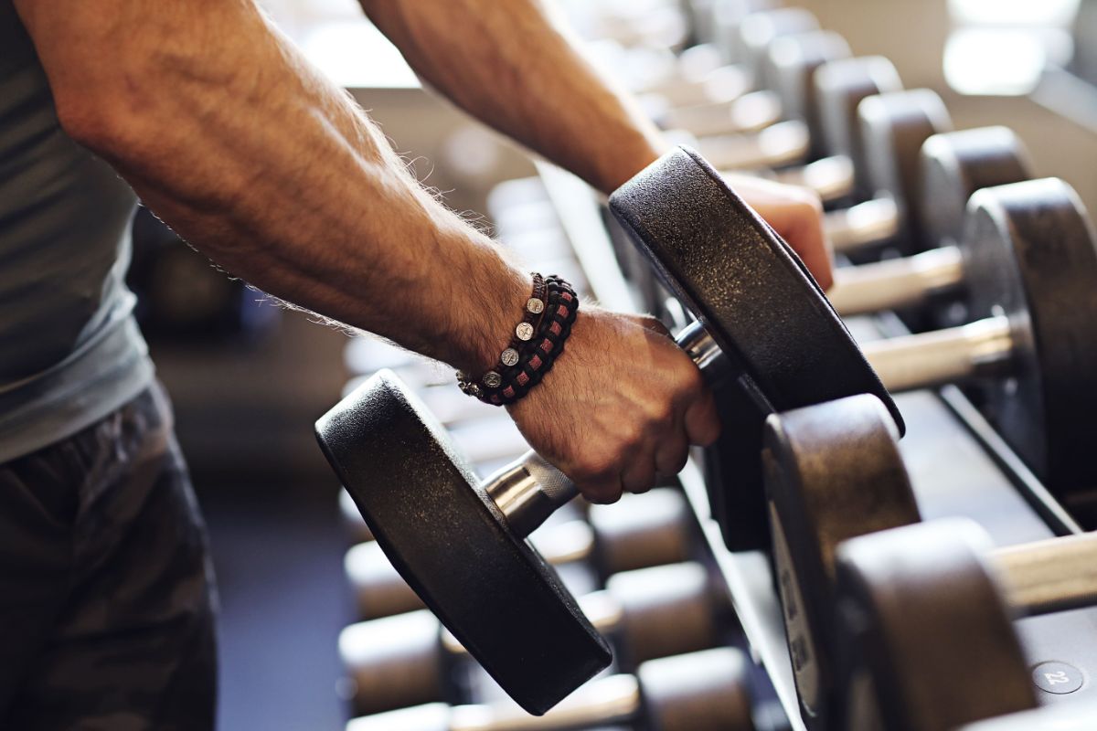 Técnico en Musculación