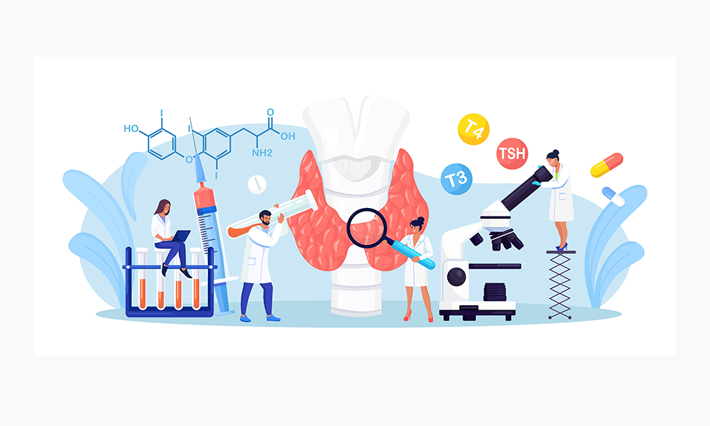 Máster Oficial en Nutrición y Metabolismo Clínico