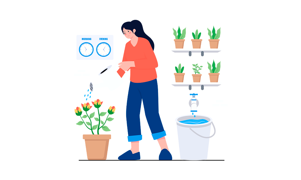 Diplomado en Agricultura de Precisión y Tecnologías Avanzadas