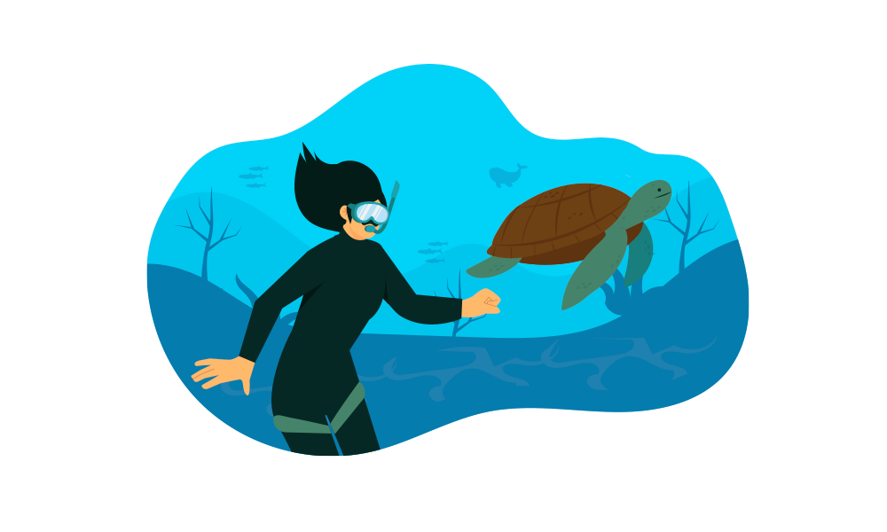 Diplomado en Biodiversidad Marina y Conservación