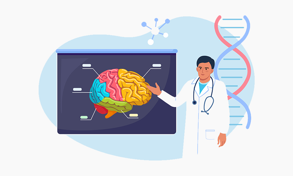 Máster Oficial en Neuroeducación y aprendizaje con TICs