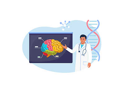 Neuroeducación