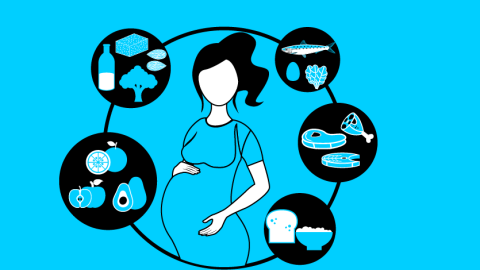 Curso de alimentación en el embarazo, lactancia y etapa infantil